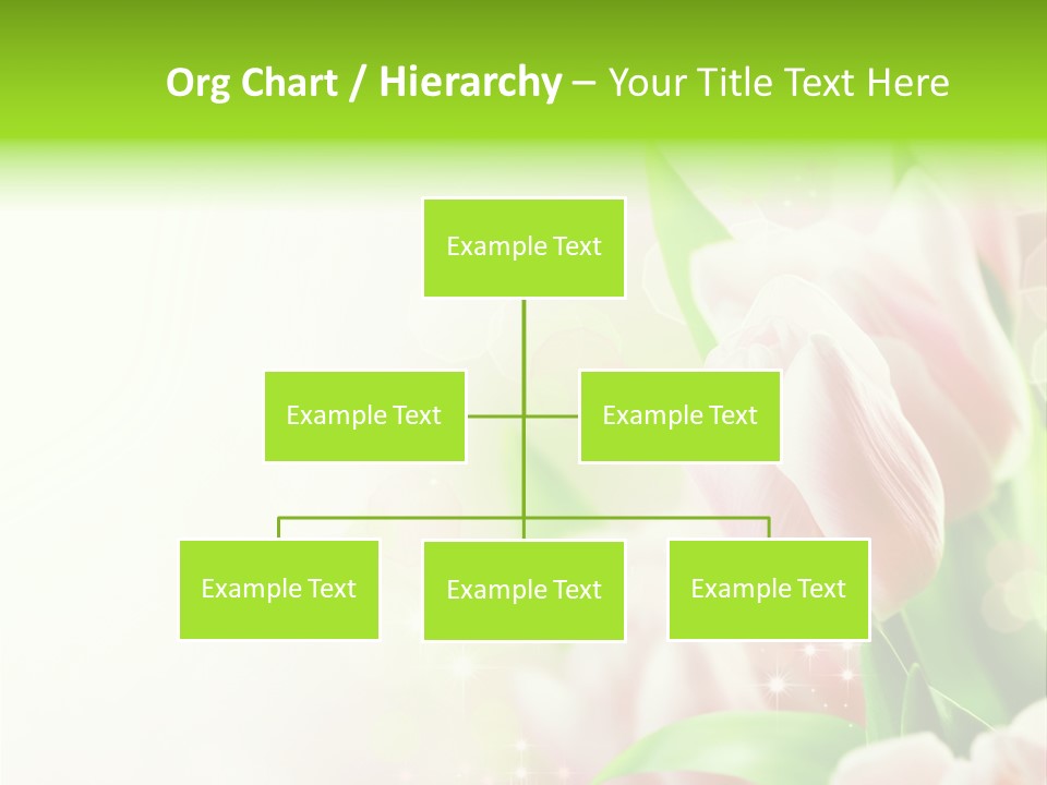 Decorate Flora Isolate PowerPoint Template