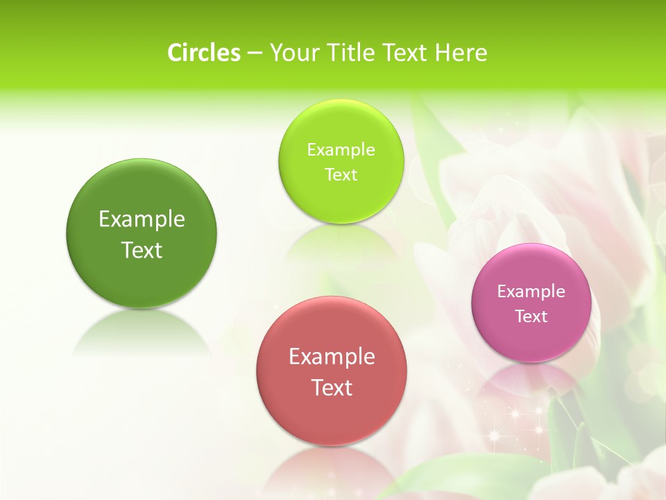 Decorate Flora Isolate PowerPoint Template
