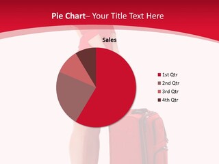 Bag Travel Isolate PowerPoint Template