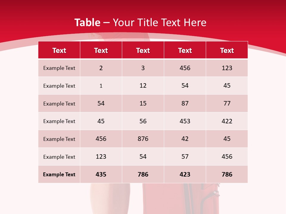 Bag Travel Isolate PowerPoint Template