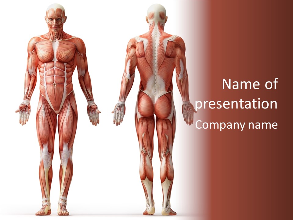 System Nude Male PowerPoint Template