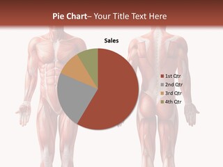 System Nude Male PowerPoint Template