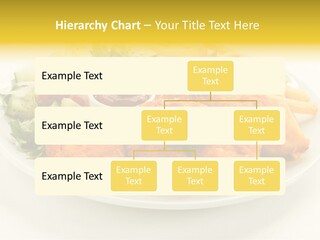 Hard Shell Detail PowerPoint Template