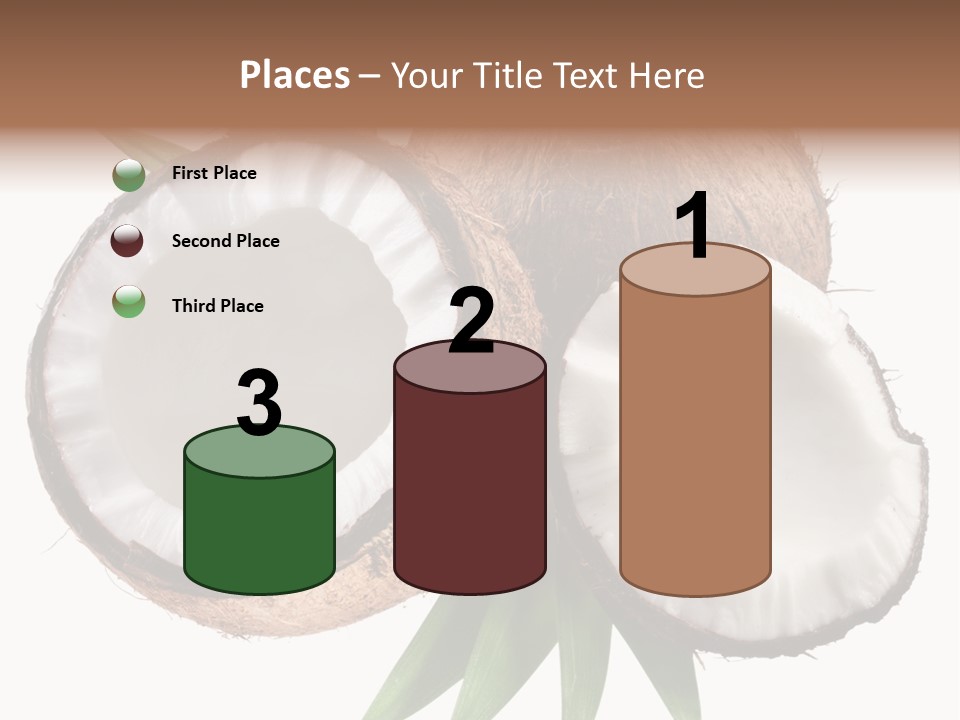 Hard Shell Detail PowerPoint Template