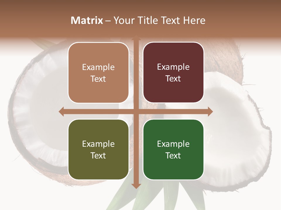 Hard Shell Detail PowerPoint Template