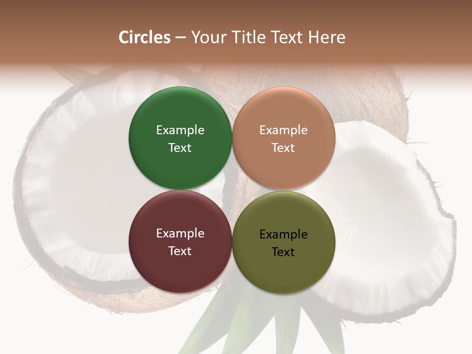 Hard Shell Detail PowerPoint Template