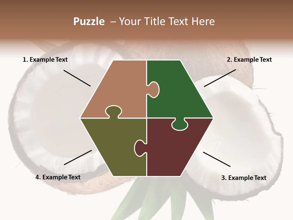 Hard Shell Detail PowerPoint Template