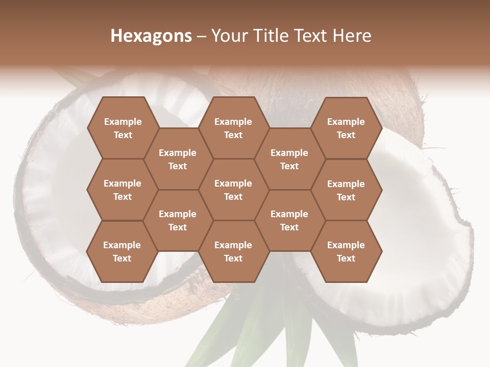 Hard Shell Detail PowerPoint Template