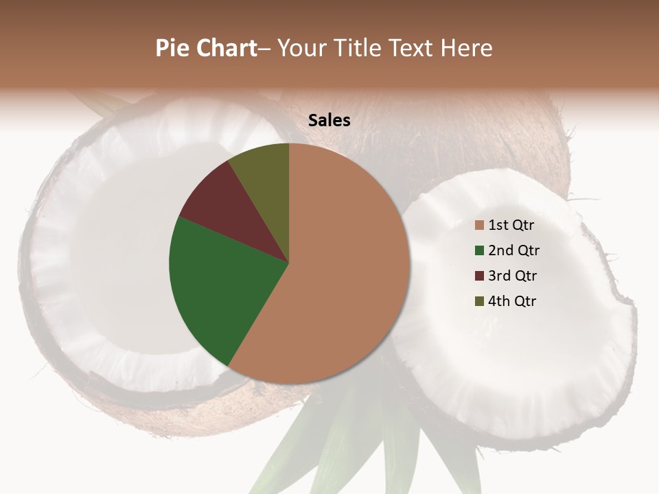 Hard Shell Detail PowerPoint Template