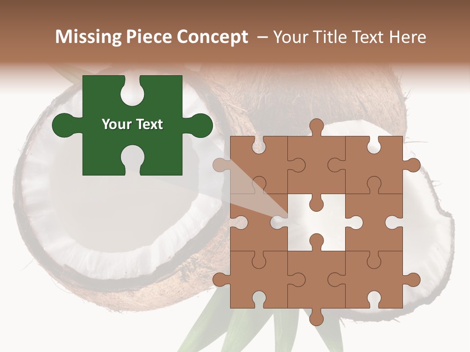 Hard Shell Detail PowerPoint Template