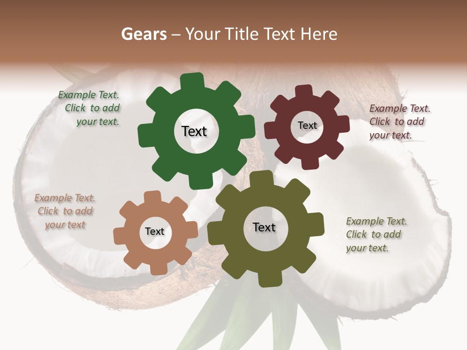 Hard Shell Detail PowerPoint Template