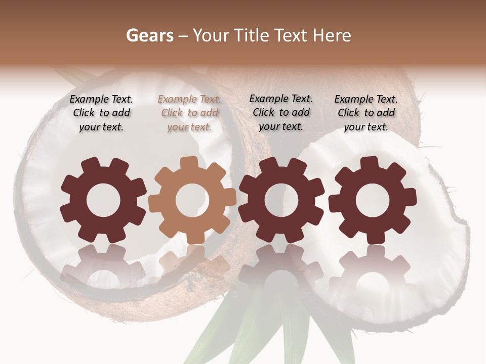 Hard Shell Detail PowerPoint Template