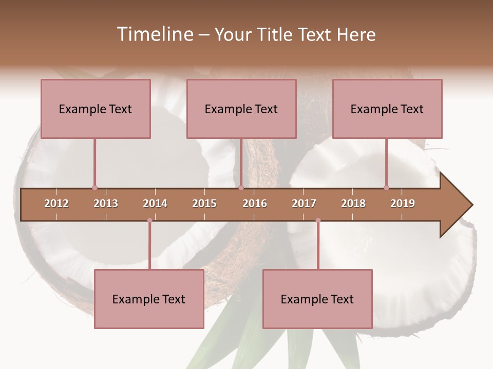 Hard Shell Detail PowerPoint Template