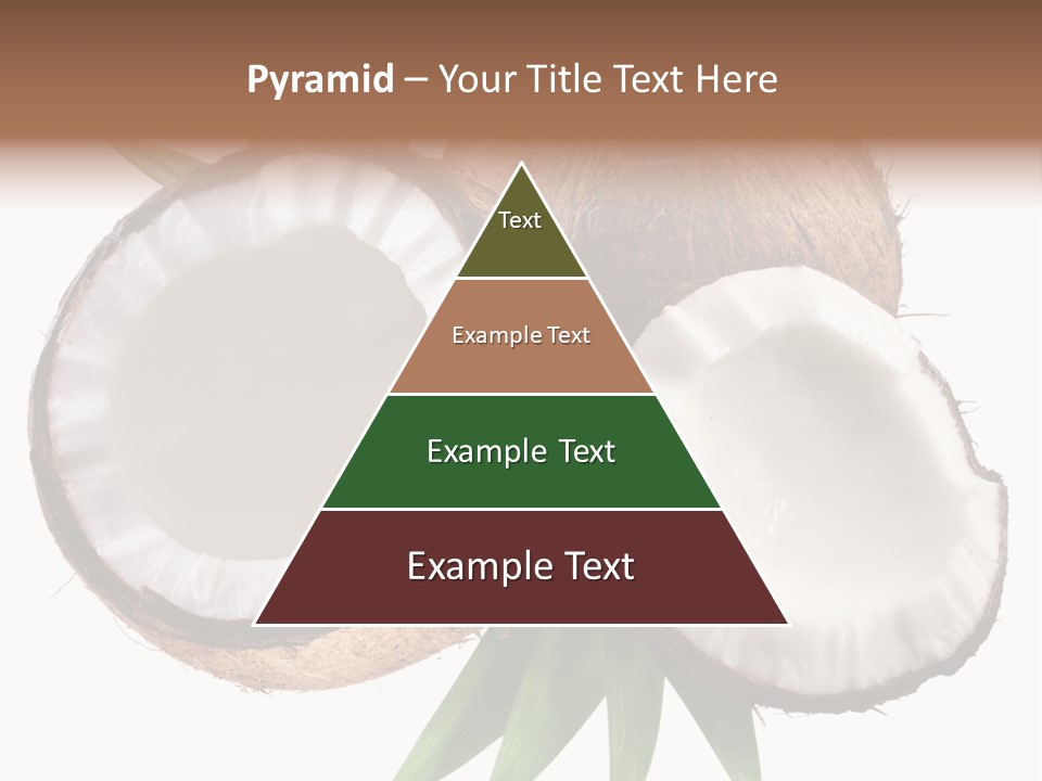 Hard Shell Detail PowerPoint Template