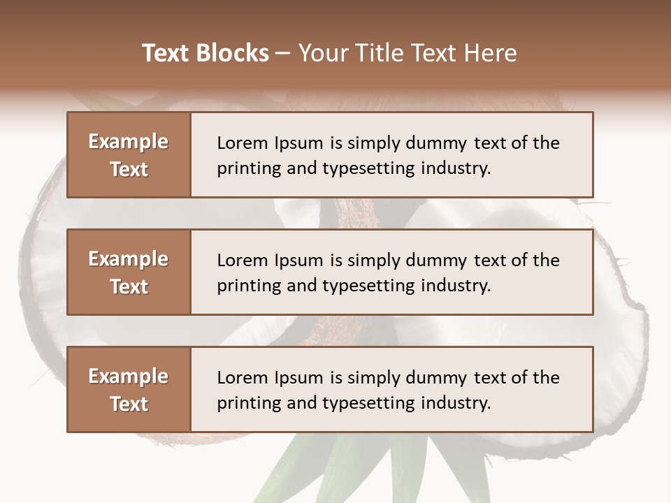 Hard Shell Detail PowerPoint Template