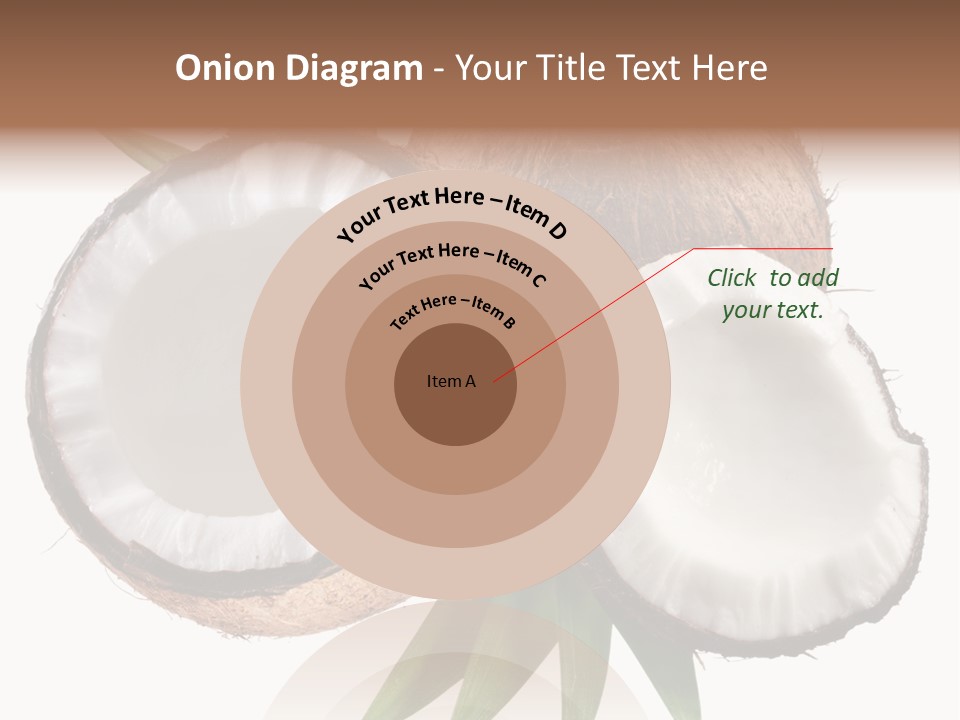 Hard Shell Detail PowerPoint Template