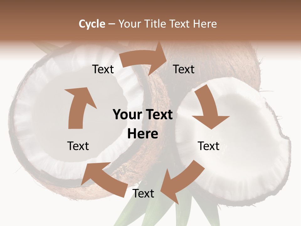 Hard Shell Detail PowerPoint Template
