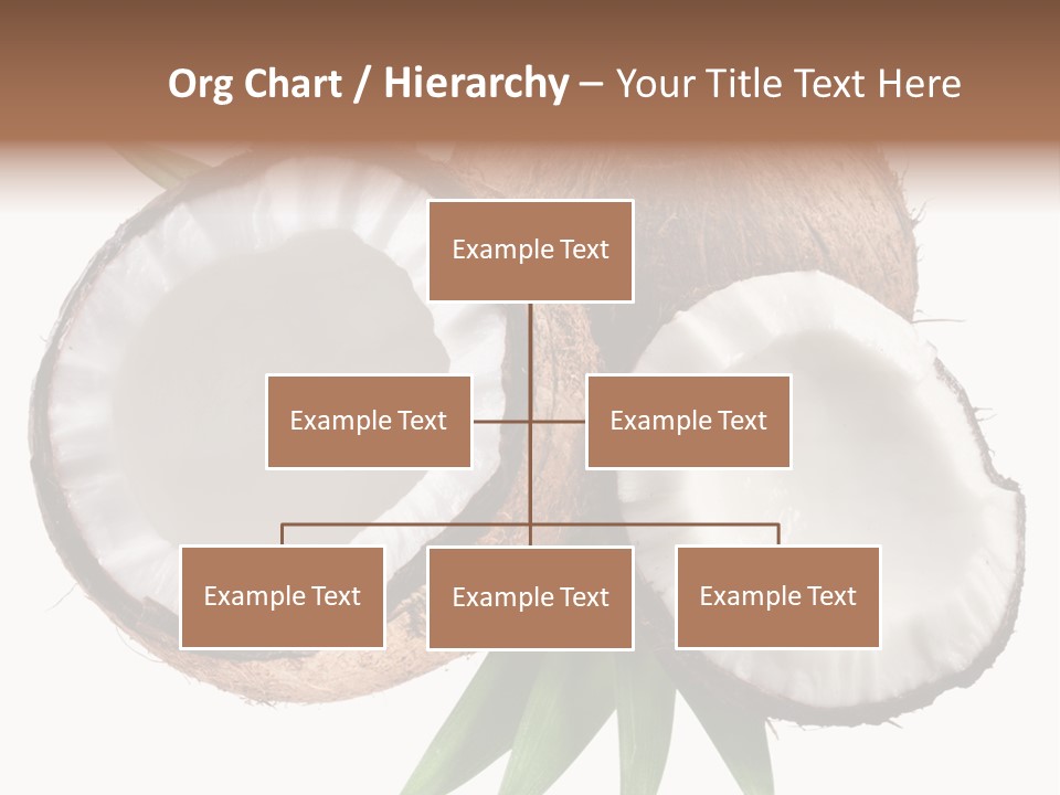 Hard Shell Detail PowerPoint Template