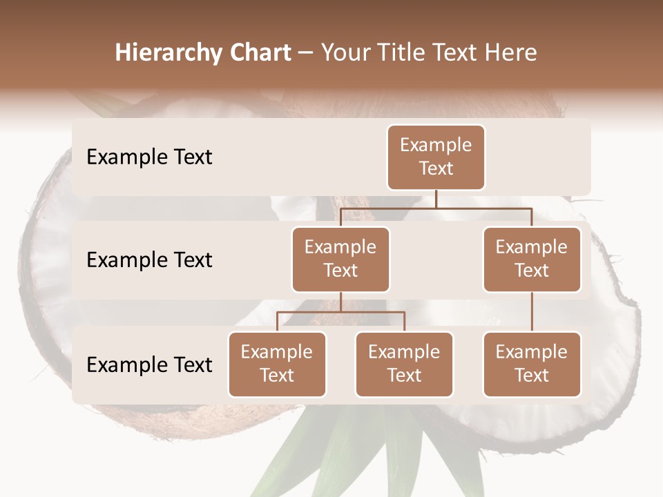 Hard Shell Detail PowerPoint Template