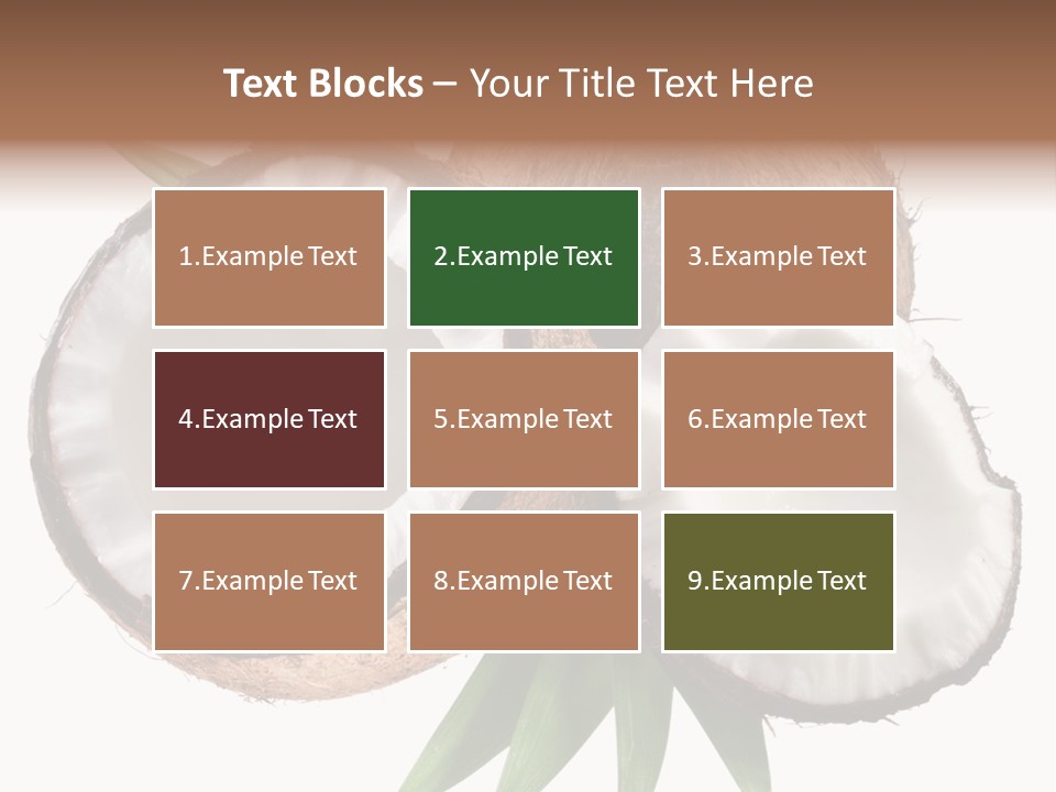 Hard Shell Detail PowerPoint Template