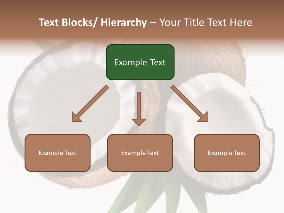 Hard Shell Detail PowerPoint Template