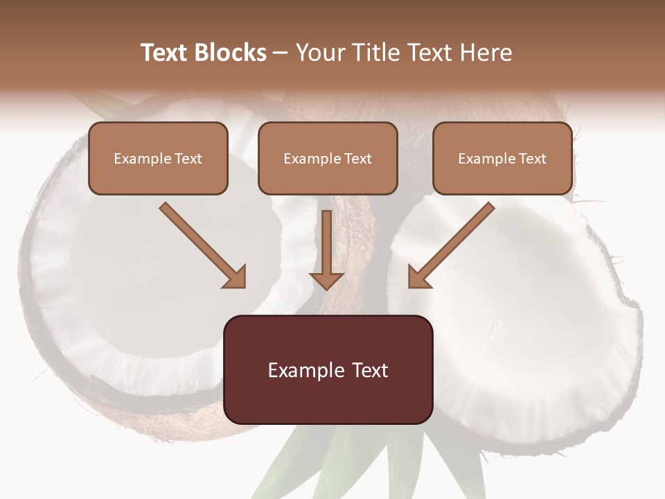 Hard Shell Detail PowerPoint Template