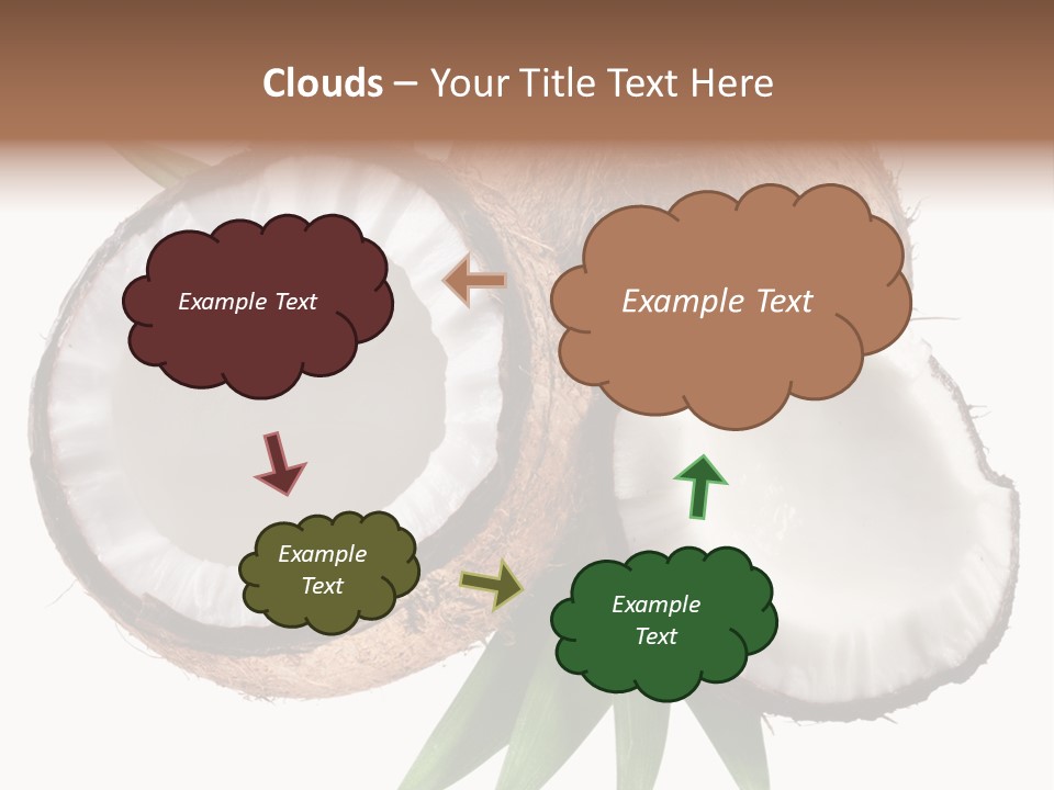 Hard Shell Detail PowerPoint Template