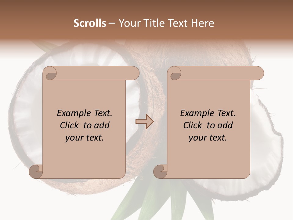 Hard Shell Detail PowerPoint Template