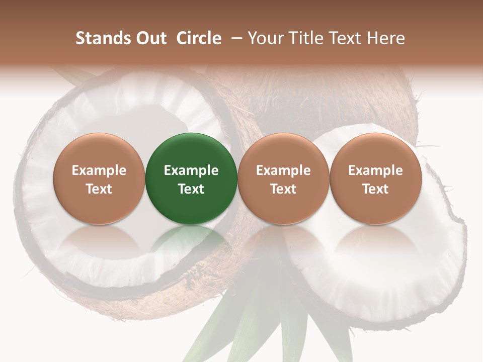 Hard Shell Detail PowerPoint Template