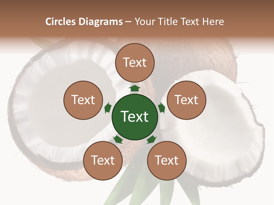 Hard Shell Detail PowerPoint Template