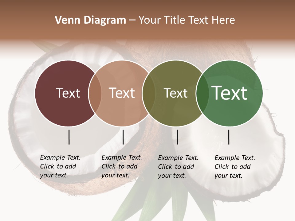 Hard Shell Detail PowerPoint Template