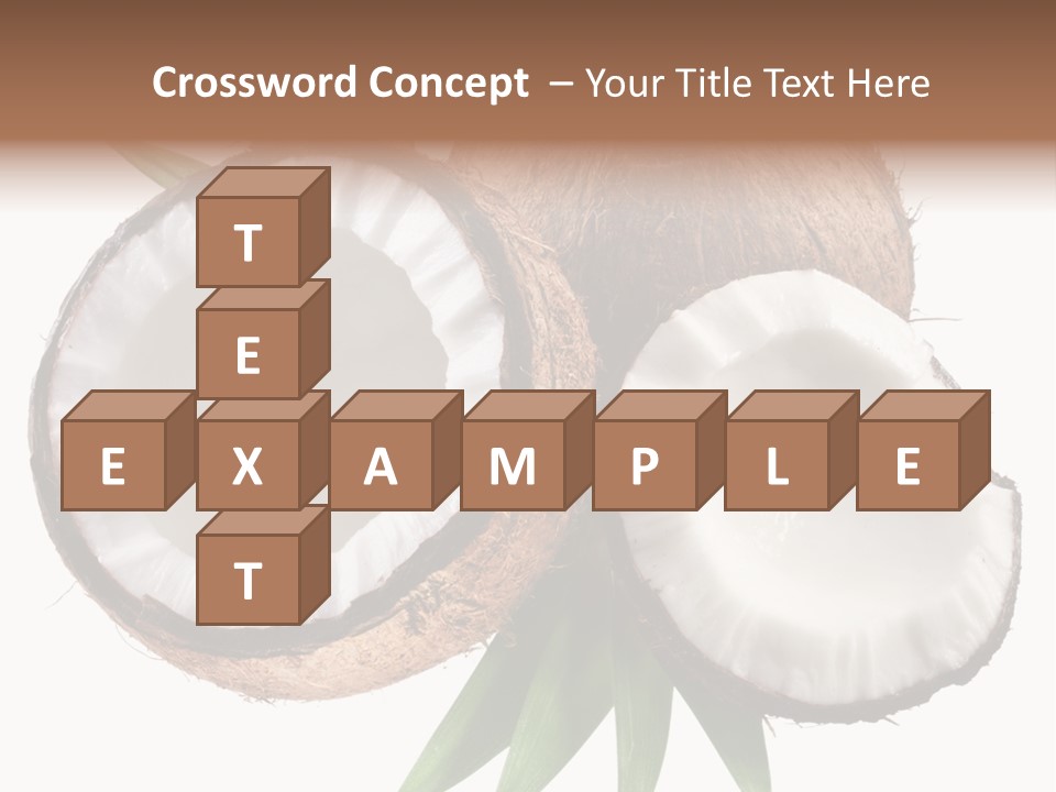 Hard Shell Detail PowerPoint Template