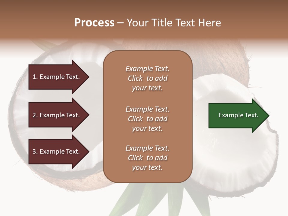 Hard Shell Detail PowerPoint Template