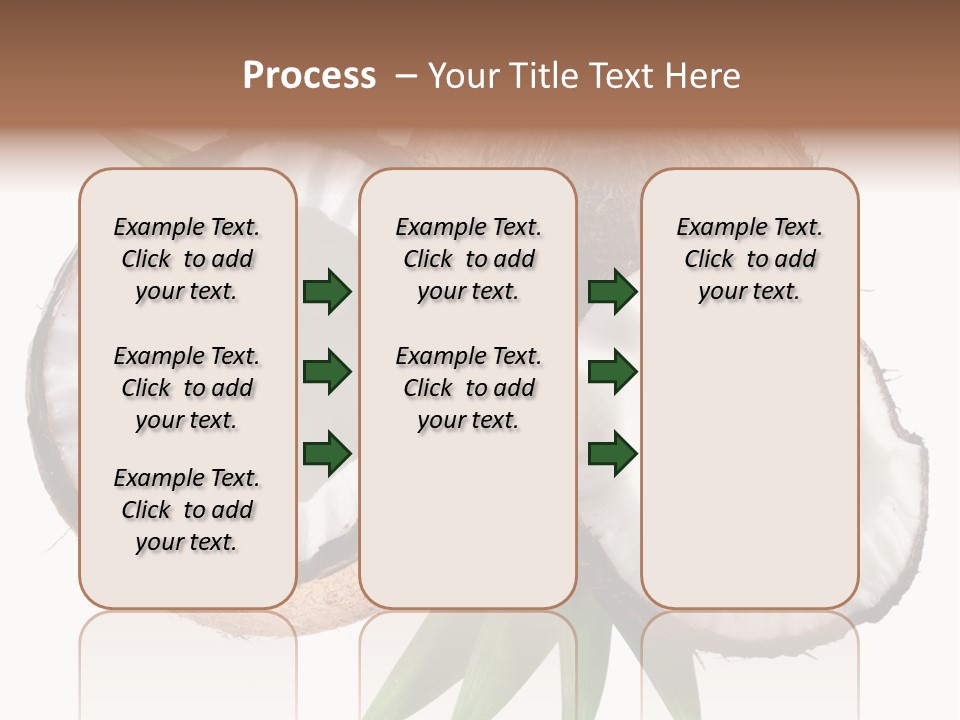 Hard Shell Detail PowerPoint Template