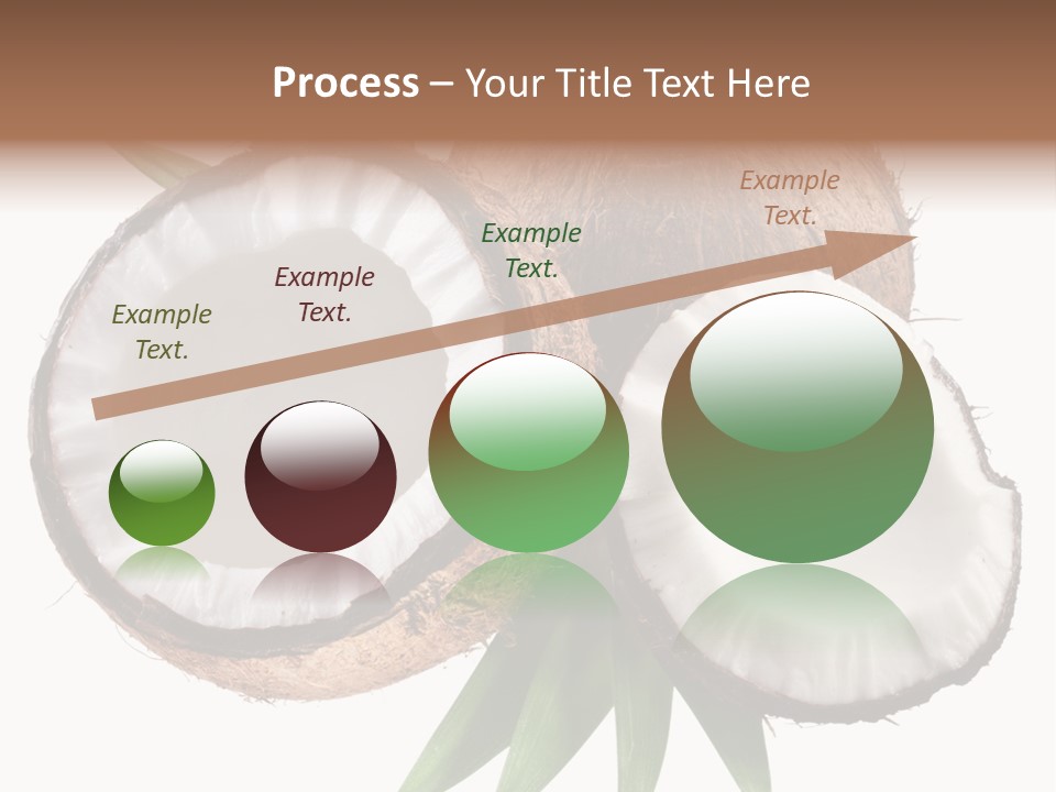Hard Shell Detail PowerPoint Template