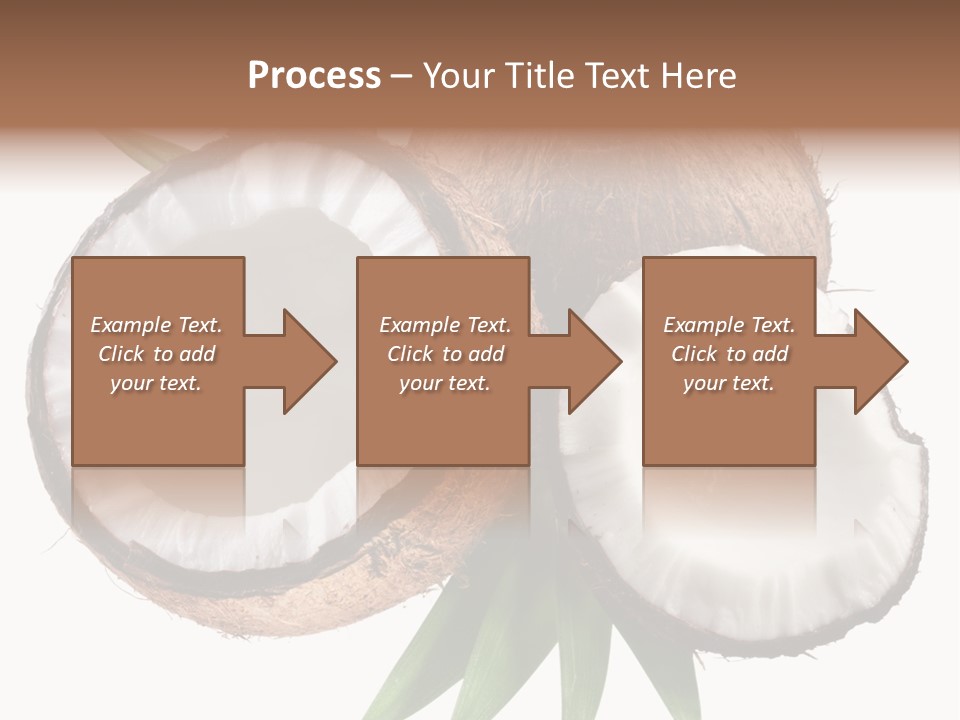 Hard Shell Detail PowerPoint Template