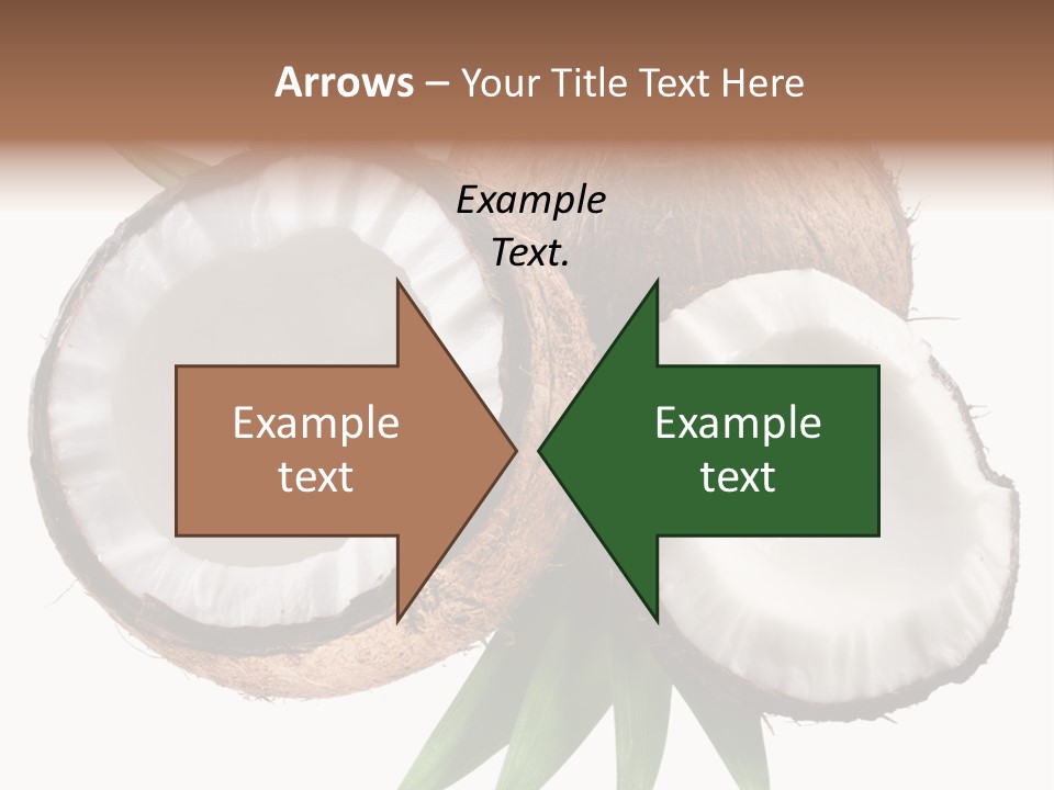 Hard Shell Detail PowerPoint Template