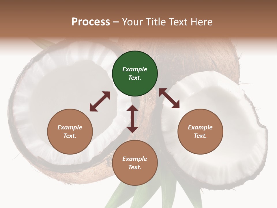 Hard Shell Detail PowerPoint Template