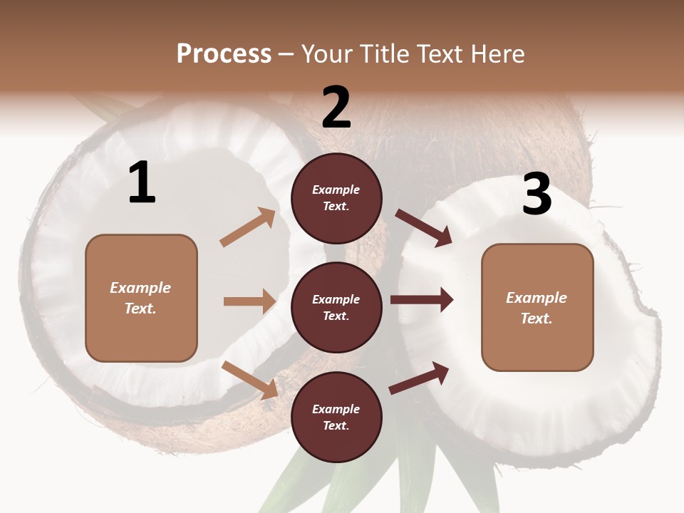 Hard Shell Detail PowerPoint Template