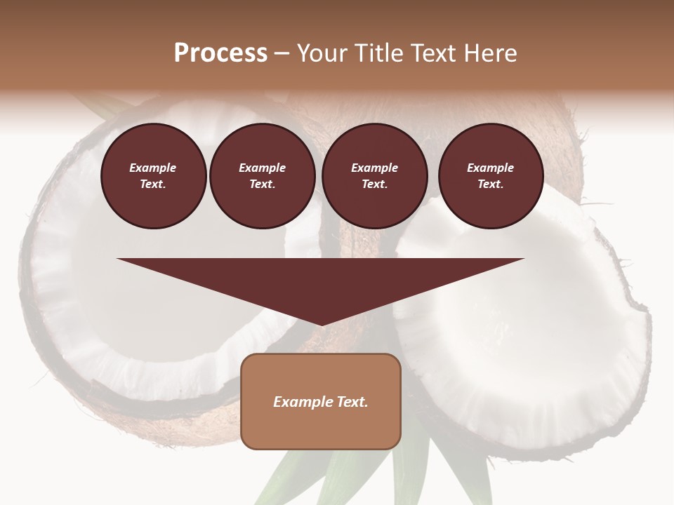 Hard Shell Detail PowerPoint Template