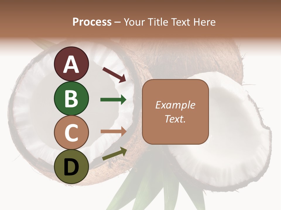 Hard Shell Detail PowerPoint Template