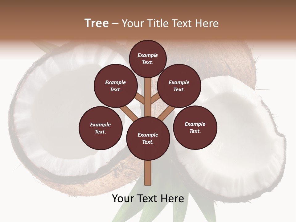 Hard Shell Detail PowerPoint Template