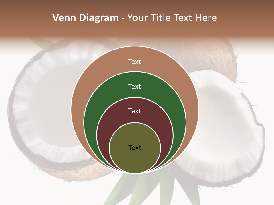 Hard Shell Detail PowerPoint Template
