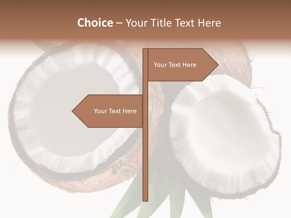 Hard Shell Detail PowerPoint Template