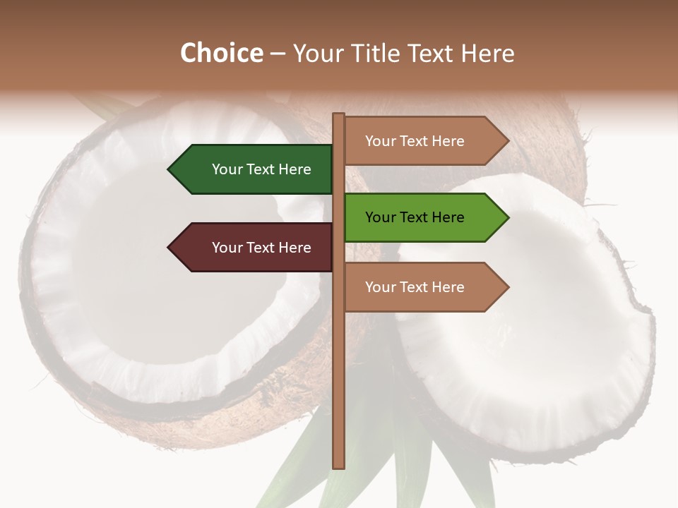 Hard Shell Detail PowerPoint Template