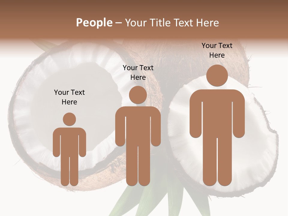 Hard Shell Detail PowerPoint Template