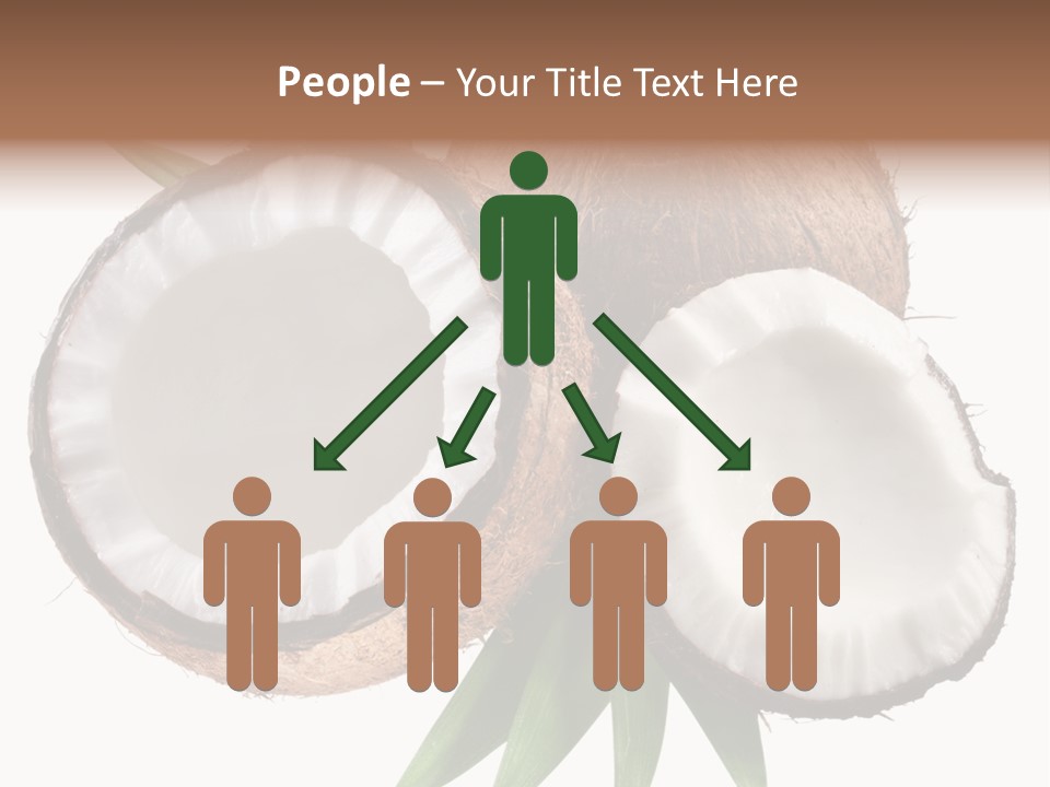 Hard Shell Detail PowerPoint Template