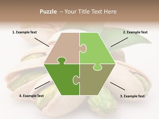 Plant Hard Green PowerPoint Template
