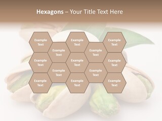 Plant Hard Green PowerPoint Template
