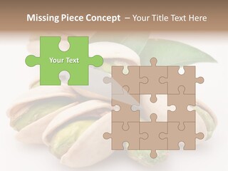 Plant Hard Green PowerPoint Template